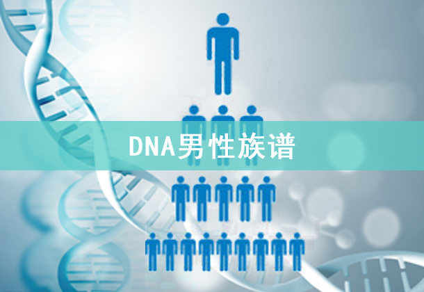 DNA男性族谱